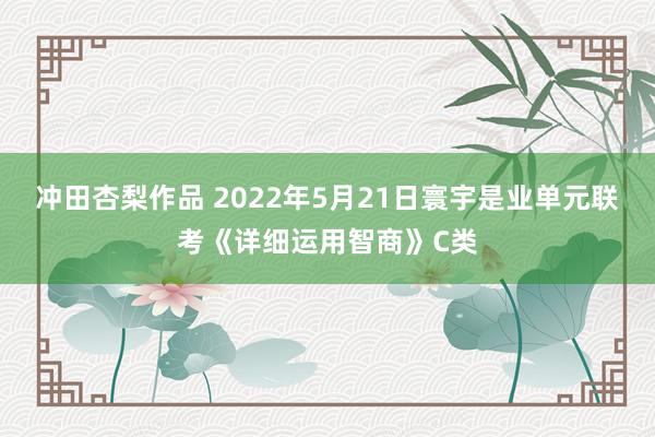 冲田杏梨作品 2022年5月21日寰宇是业单元联考《详细运用智商》C类