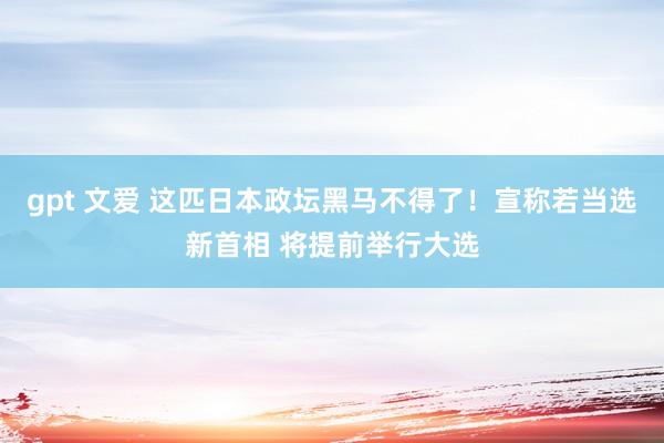 gpt 文爱 这匹日本政坛黑马不得了！宣称若当选新首相 将提前举行大选