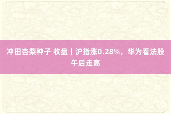 冲田杏梨种子 收盘丨沪指涨0.28%，华为看法股午后走高