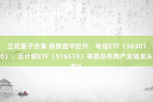 立花里子合集 指数盘中拉升，电信ETF（563010）、云计较ETF（516510）等居品布局产业链龙头