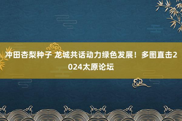 冲田杏梨种子 龙城共话动力绿色发展！多图直击2024太原论坛