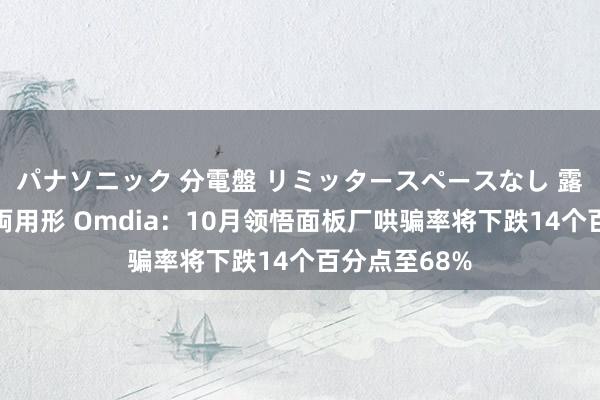 パナソニック 分電盤 リミッタースペースなし 露出・半埋込両用形 Omdia：10月领悟面板厂哄骗率将下跌14个百分点至68%