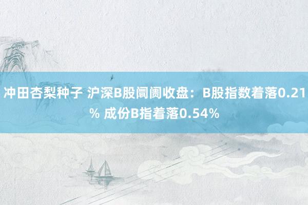 冲田杏梨种子 沪深B股阛阓收盘：B股指数着落0.21% 成份B指着落0.54%