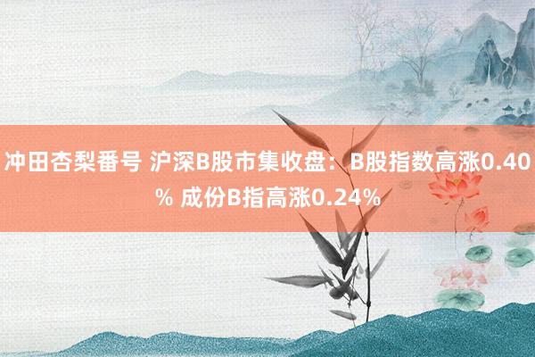 冲田杏梨番号 沪深B股市集收盘：B股指数高涨0.40% 成份B指高涨0.24%