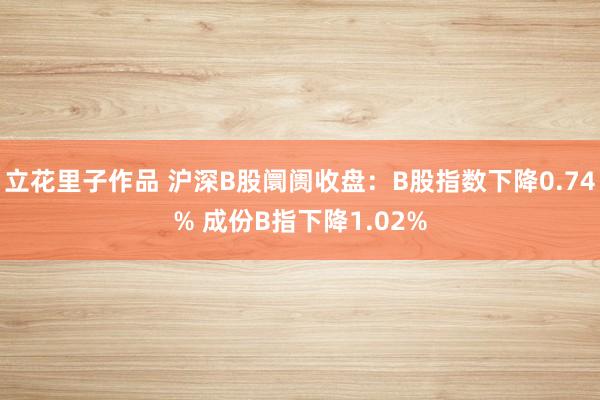 立花里子作品 沪深B股阛阓收盘：B股指数下降0.74% 成份B指下降1.02%