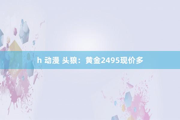 h 动漫 头狼：黄金2495现价多