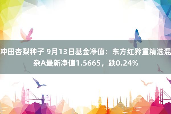 冲田杏梨种子 9月13日基金净值：东方红矜重精选混杂A最新净值1.5665，跌0.24%