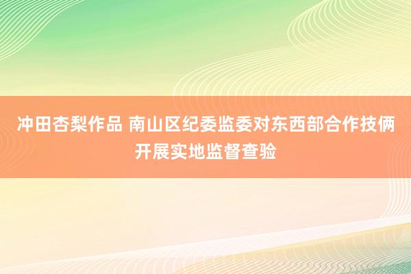 冲田杏梨作品 南山区纪委监委对东西部合作技俩开展实地监督查验