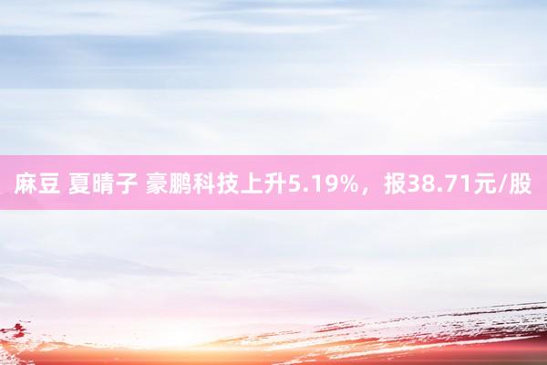 麻豆 夏晴子 豪鹏科技上升5.19%，报38.71元/股