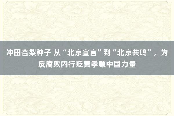 冲田杏梨种子 从“北京宣言”到“北京共鸣”，为反腐败内行贬责孝顺中国力量