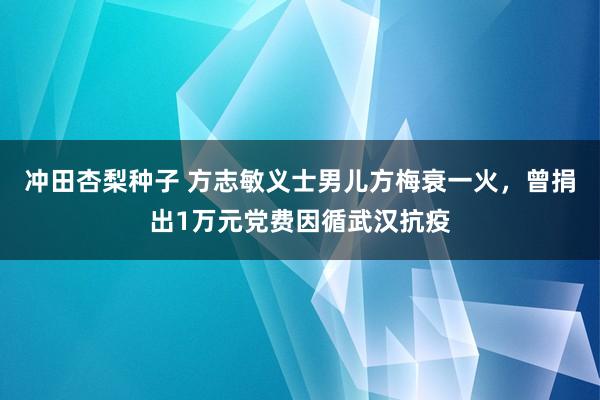 冲田杏梨种子 方志敏义士男儿方梅衰一火，曾捐出1万元党费因循武汉抗疫