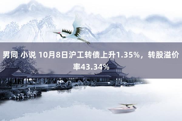 男同 小说 10月8日沪工转债上升1.35%，转股溢价率43.34%