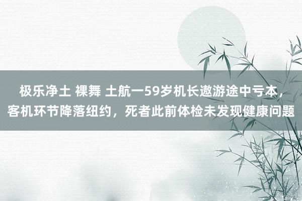 极乐净土 裸舞 土航一59岁机长遨游途中亏本，客机环节降落纽约，死者此前体检未发现健康问题