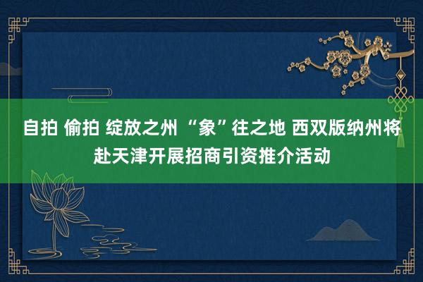 自拍 偷拍 绽放之州 “象”往之地 西双版纳州将赴天津开展招商引资推介活动