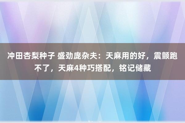 冲田杏梨种子 盛劲庞杂夫：天麻用的好，震颤跑不了，天麻4种巧搭配，铭记储藏