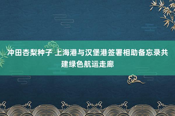 冲田杏梨种子 上海港与汉堡港签署相助备忘录共建绿色航运走廊