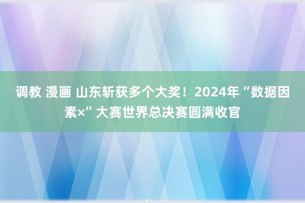 调教 漫画 山东斩获多个大奖！2024年“数据因素×”大赛世界总决赛圆满收官