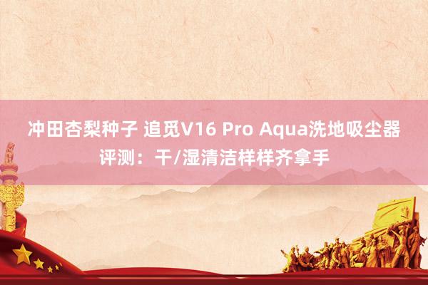 冲田杏梨种子 追觅V16 Pro Aqua洗地吸尘器评测：干/湿清洁样样齐拿手