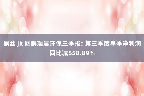 黑丝 jk 图解瑞晨环保三季报: 第三季度单季净利润同比减558.89%