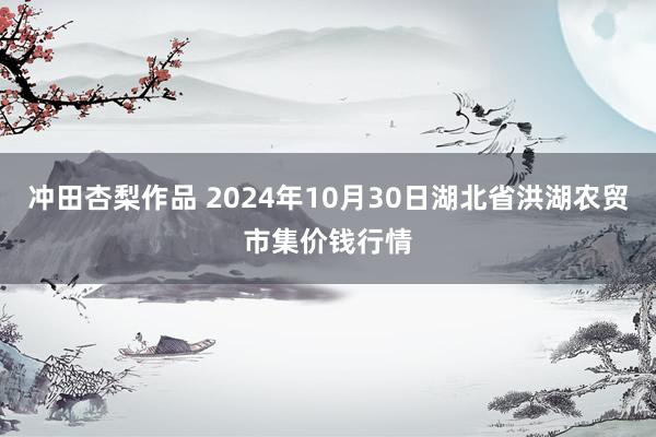 冲田杏梨作品 2024年10月30日湖北省洪湖农贸市集价钱行情