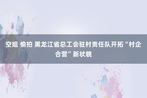 空姐 偷拍 黑龙江省总工会驻村责任队开拓“村企合营”新状貌