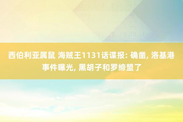 西伯利亚属鼠 海贼王1131话谍报: 确凿， 洛基港事件曝光， 黑胡子和罗缔盟了