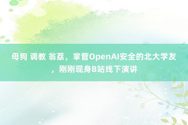 母狗 调教 翁荔，掌管OpenAI安全的北大学友，刚刚现身B站线下演讲