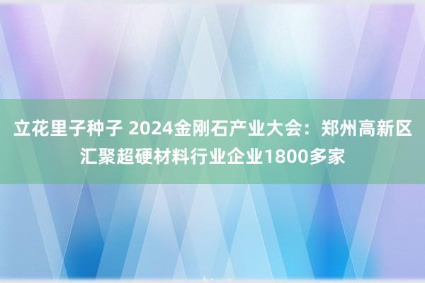 立花里子种子 2024金刚石产业大会：郑州高新区汇聚超硬材料行业企业1800多家