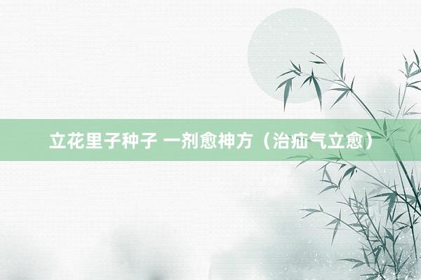 立花里子种子 一剂愈神方（治疝气立愈）