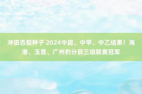 冲田杏梨种子 2024中超、中甲、中乙结果！海港、玉昆、广州豹分获三级联赛冠军